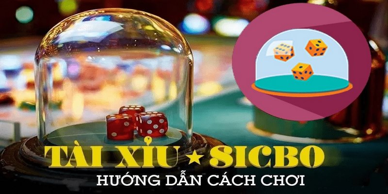 Cách chơi Tài Xỉu online cơ bản